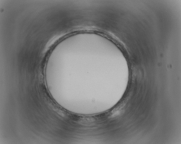 X0000076071215200610152219