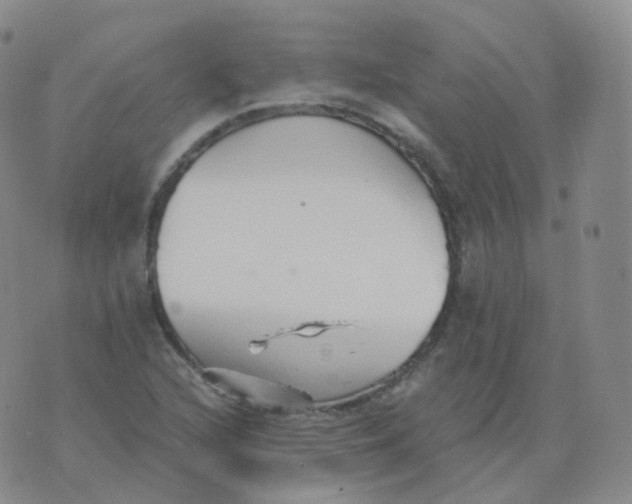 X0000076071216200610152219