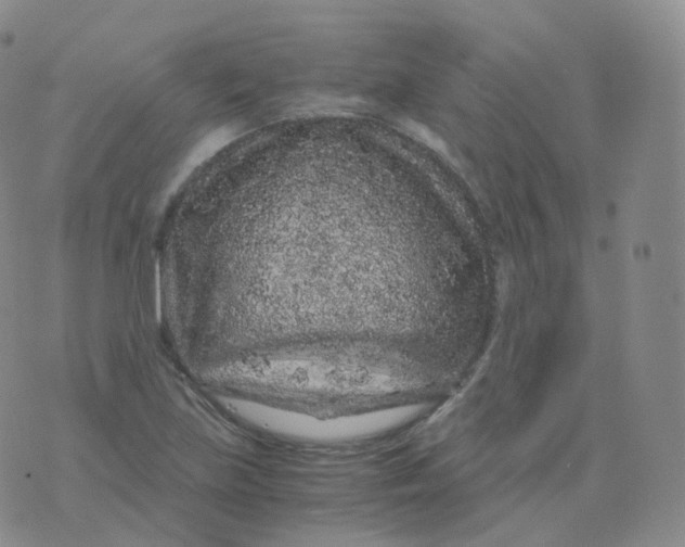 X0000076071219200610152219