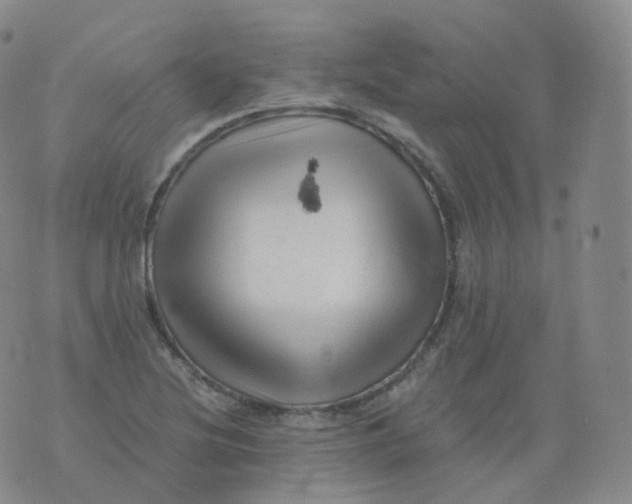 X0000076071220200610152219