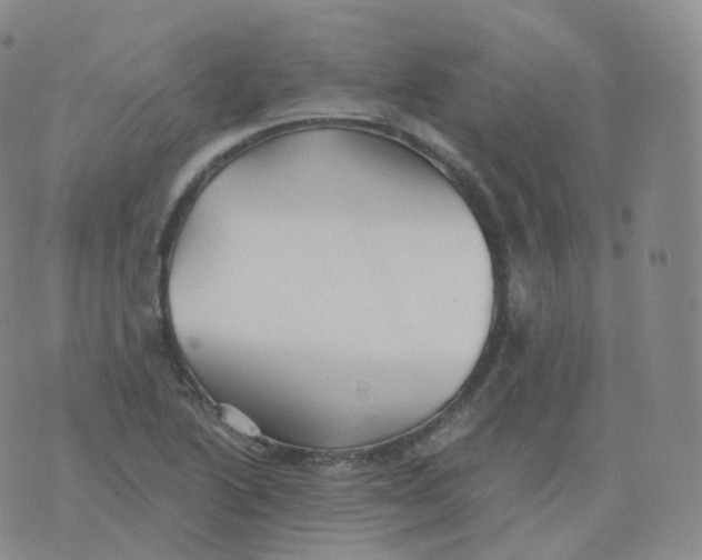 X0000076071222200610152219