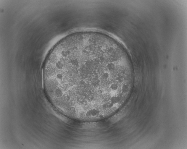 X0000076071223200610152219