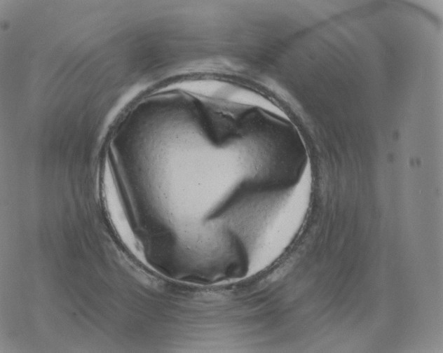 X0000076071224200610152219