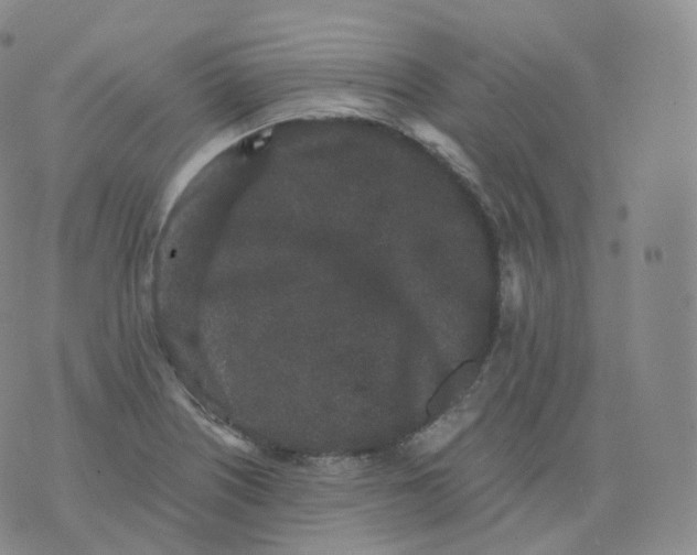 X0000076071226200610152219