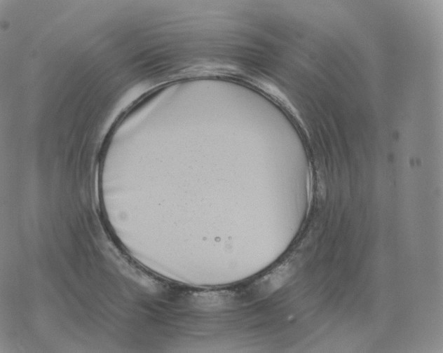 X0000076071227200610152219