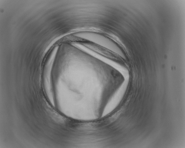 X0000076071228200610152219