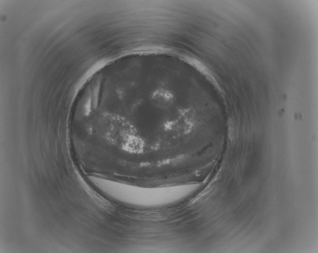 X0000076071229200610152219