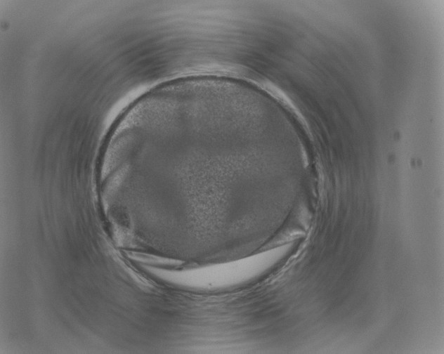 X0000076071230200610152219