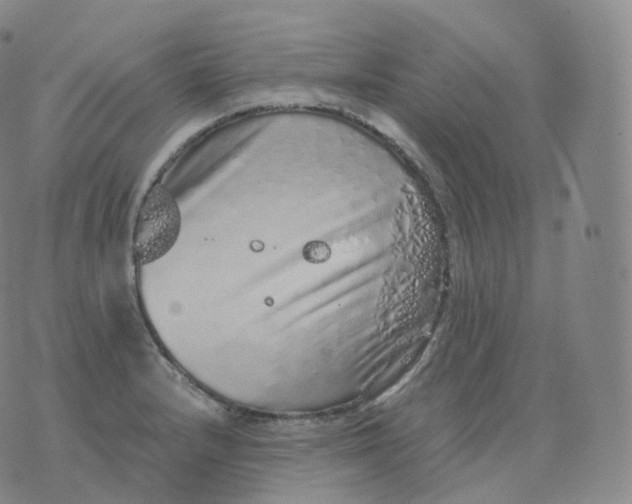 X0000076071232200610152219