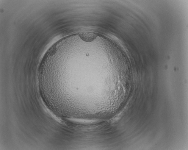 X0000076071235200610152219