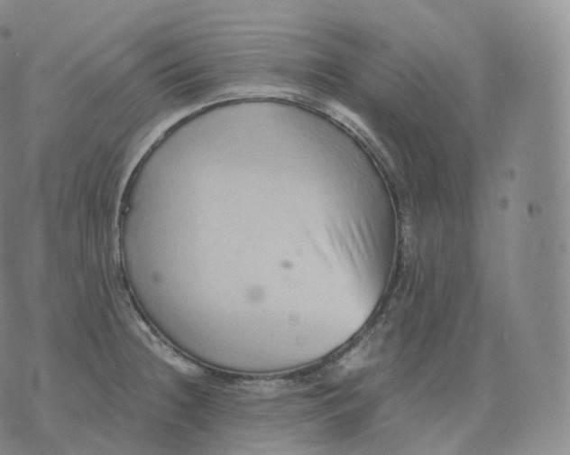 X0000076071236200610152219