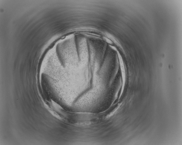 X0000076071237200610152219