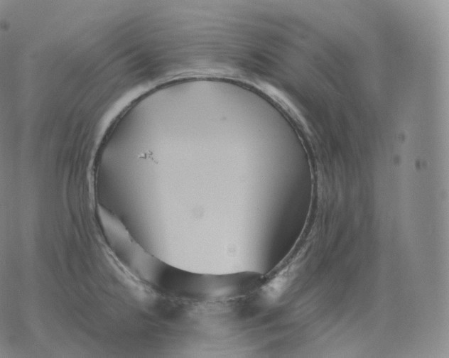 X0000076071238200610152219