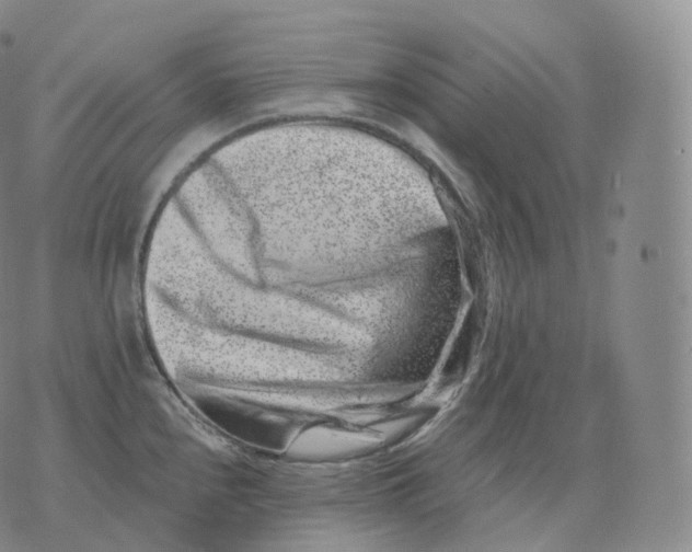 X0000076071240200610152219