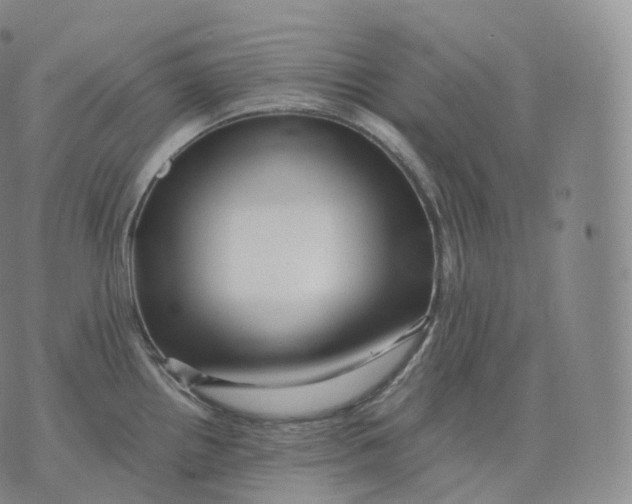 X0000076071242200610152219