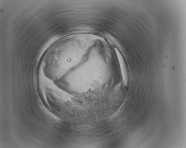 X0000076071243200610152219