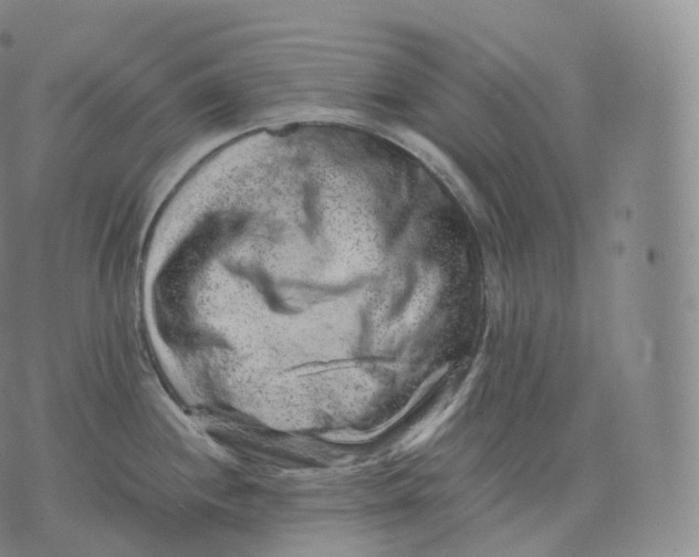 X0000076071244200610152220