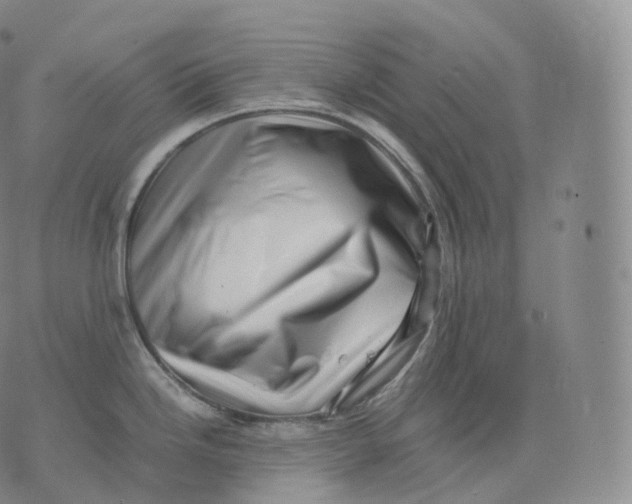 X0000076071246200610152220