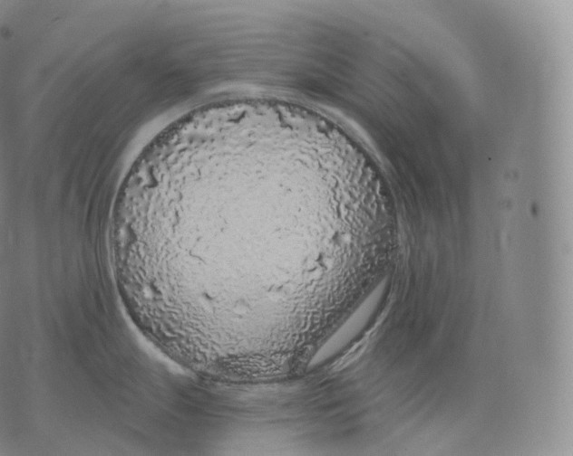 X0000076071247200610152220