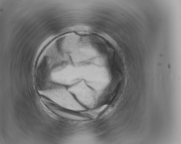 X0000076071248200610152220