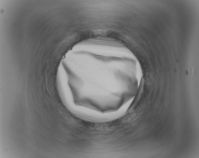 X0000076071249200610152219