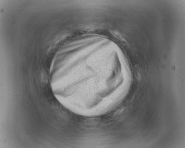 X0000076071253200610152219