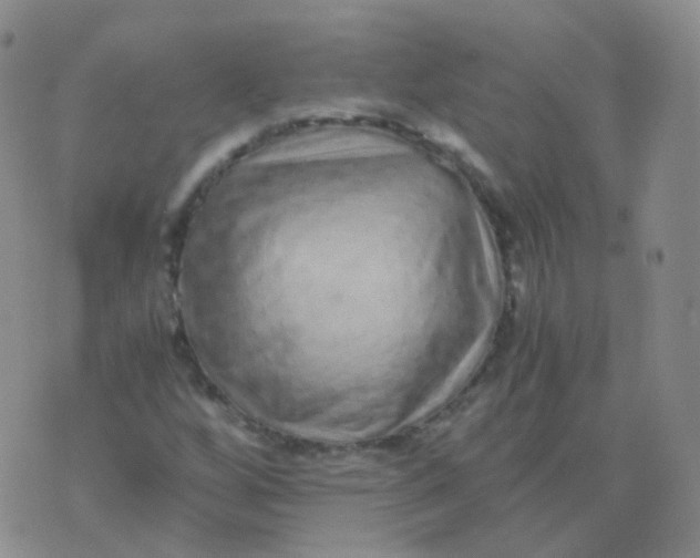 X0000076071256200610152219