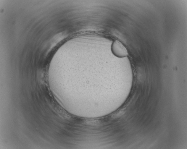 X0000076071258200610152219