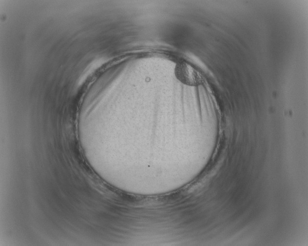 X0000076071259200610152219