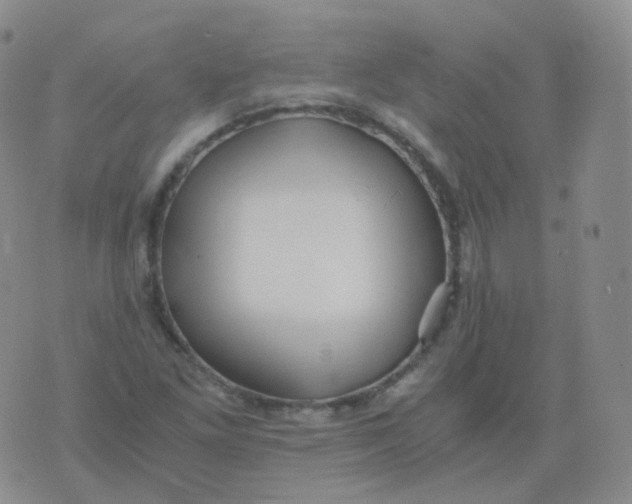 X0000076071261200610152219