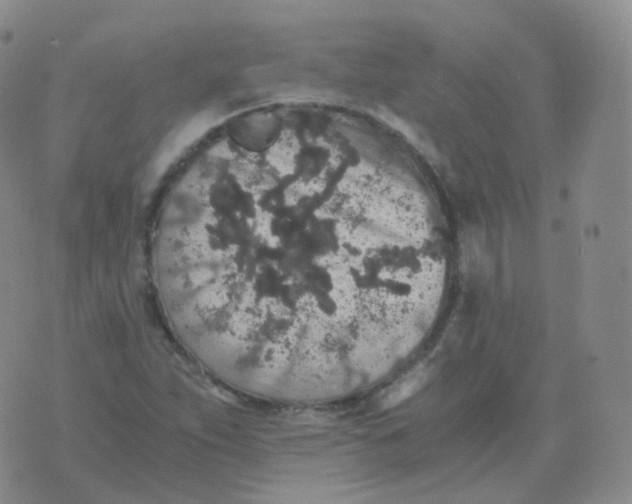 X0000076071263200610152219