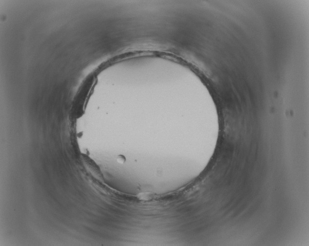 X0000076071264200610152219