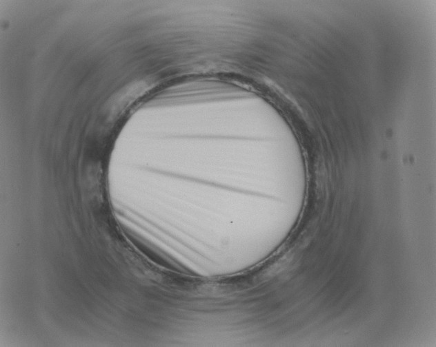 X0000076071265200610152219