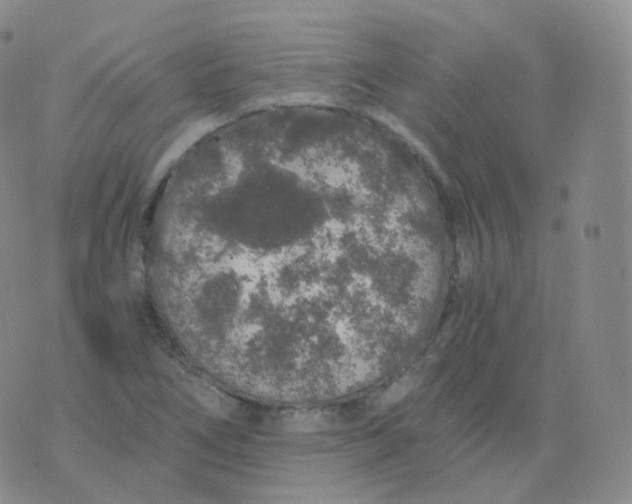 X0000076071266200610152219