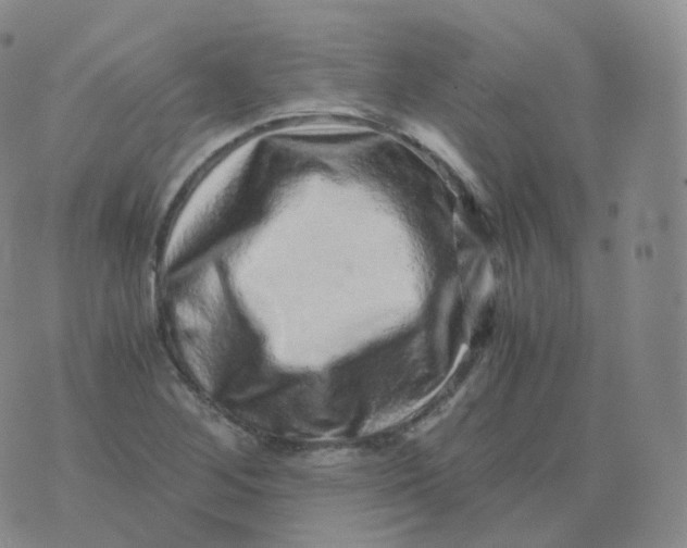 X0000076071268200610152218