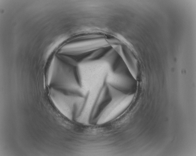 X0000076071269200610152218