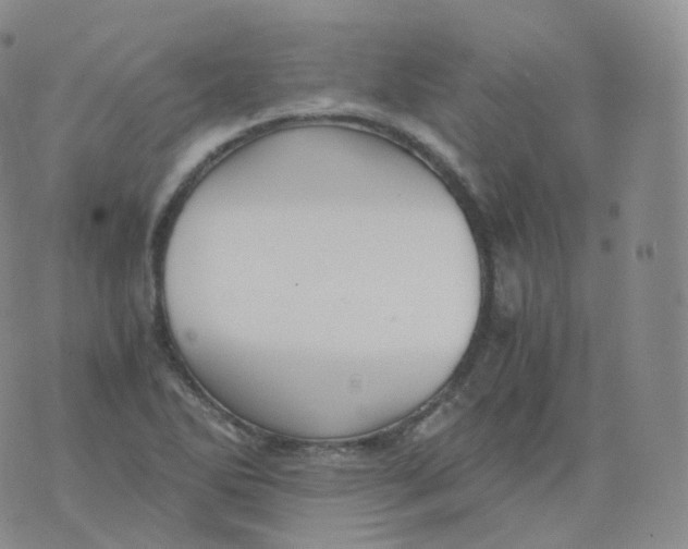 X0000076071270200610152218