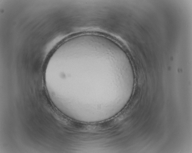 X0000076071271200610152218