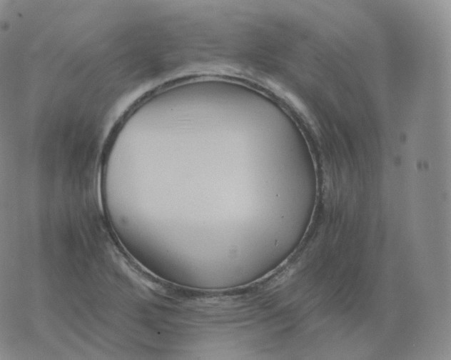 X0000076071272200610152218