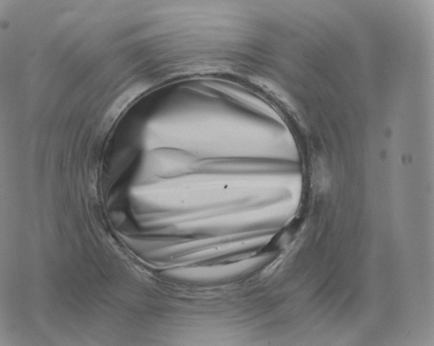 X0000076071273200610152218