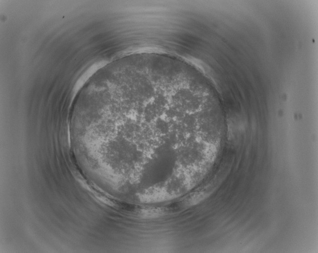 X0000076071274200610152218