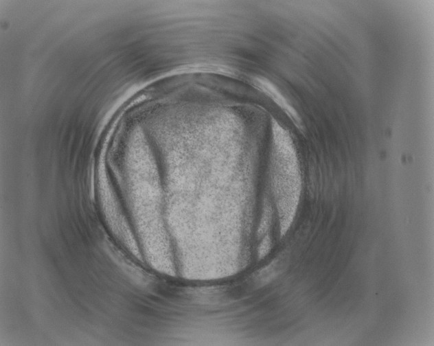 X0000076071276200610152218