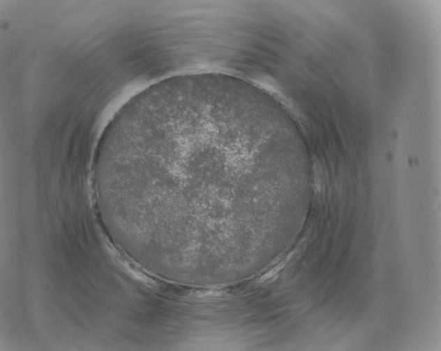 X0000076071278200610152218