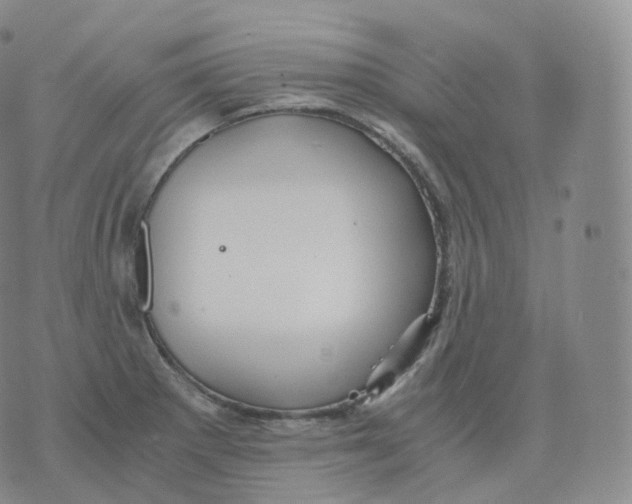 X0000076071281200610152218