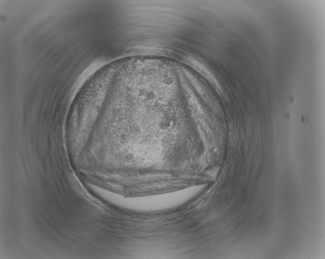 X0000076071283200610152218