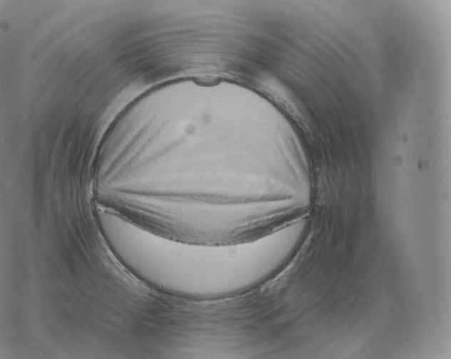 X0000076071284200610152218