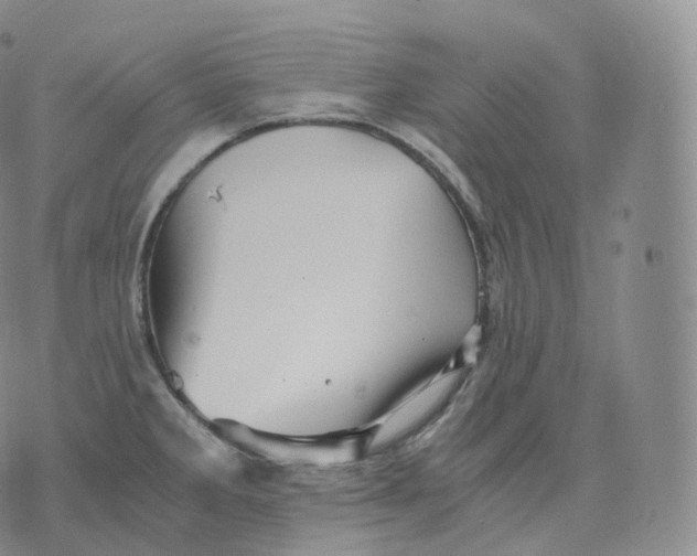 X0000076071285200610152218