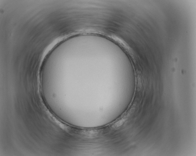 X0000076071286200610152218