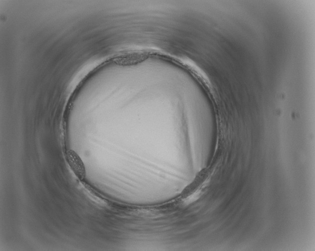 X0000076071287200610152218