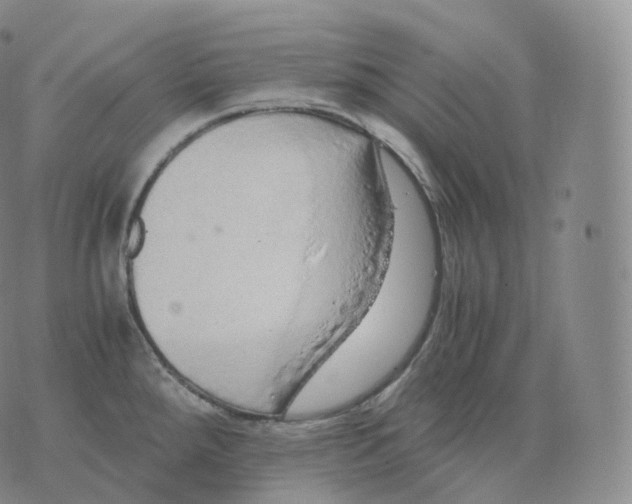 X0000076071288200610152218